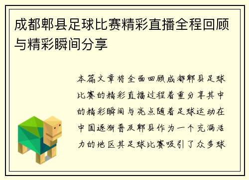 成都郫县足球比赛精彩直播全程回顾与精彩瞬间分享